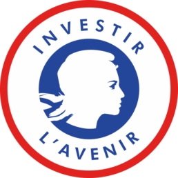 logo investir l'avenir